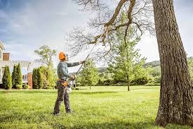 Best Tree Trimming and Pruning  in New Philadelphia, OH